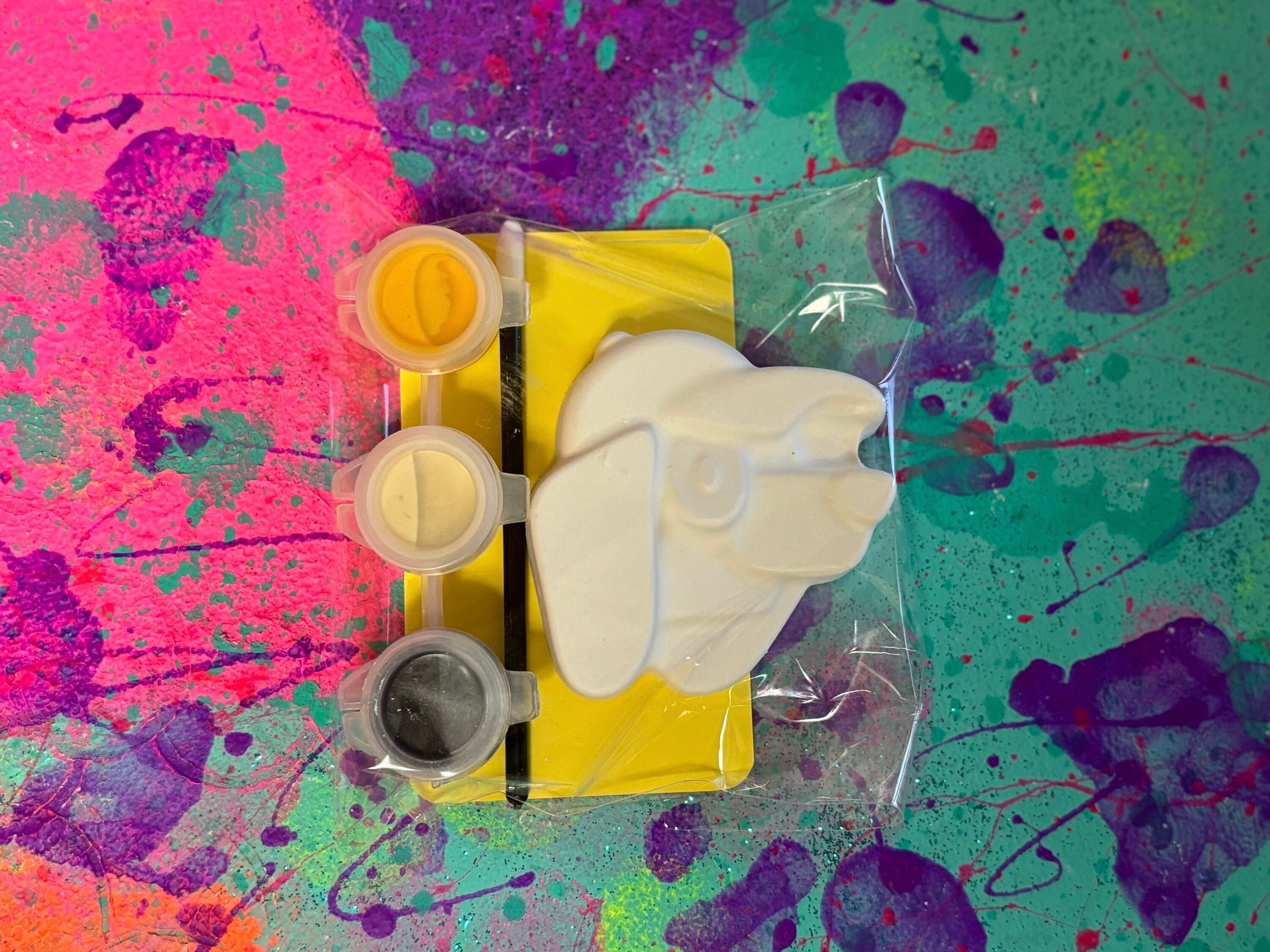 Paint Favor Kit