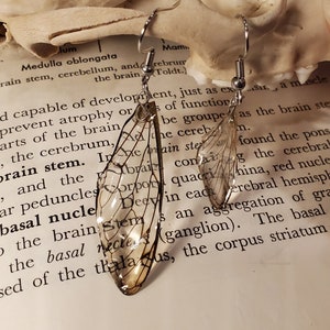 May include: A pair of dangle earrings featuring clear, wing-shaped pendants with delicate black vein-like details. The earrings hang from silver-colored hooks. The background includes a skull and text from a book.