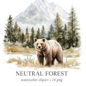 Clipart forêt, clipart forêt neutre, paysage de forêt de pins, pins, invitation forêt, baby shower des bois, animaux de la forêt