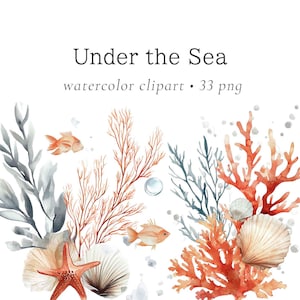 Imágenes prediseñadas bajo el mar, arrecife de coral, imágenes prediseñadas de boda bajo el mar, imágenes prediseñadas marinas, imágenes submarinas, uso comercial, boda en la playa