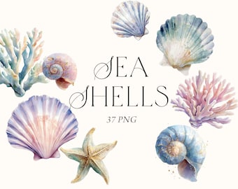 Snäckskal Clipart, Ocean Marine Clipart, Under Sea Clipart, Korallrev, Strandbröllop Clipart, Undervattens Clipart, Kommersiellt bruk