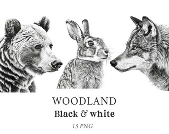 Woodland Animals Clipart, Black and White Animals, Forest Animals Clipart, Woodland Clipart, Pencil Illustrations, Nursery Clipart