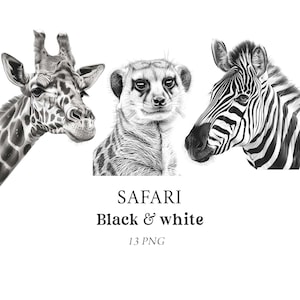 Safari Animals Clipart, Animais Preto e Branco, Animais da Selva Clipart, Animais Safari Clipart, Ilustrações a Lápis, Berçário Clipart