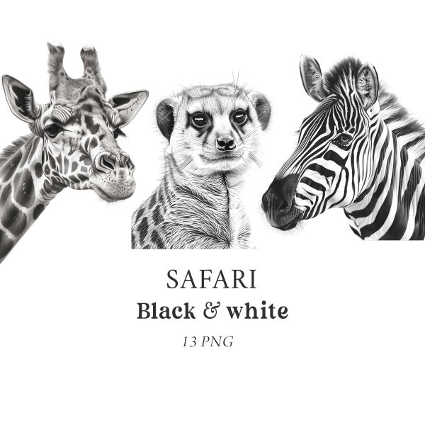 Safari Animals Clipart, Black and White Animals, Jungle Animals Clipart, Safari Animals Clipart, Pencil Illustrations, Nursery Clipart