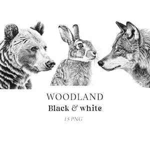 Clipart animali del bosco, animali in bianco e nero, clipart animali della foresta, clipart del bosco, illustrazioni a matita, clipart vivaio