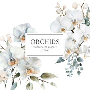 Clipart orchidées, clipart floral blanc, bouquets d'orchidées blanches, clipart mariage blanc, faire-part de mariage orchidées, Png