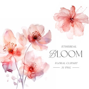 Rosa Blumen Clipart, Kirschblüten Clipart, Aquarell Blumensträuße, Blush Pink, Sakura Clipart, elegante Hochzeit Clipart, kommerzielle Nutzung