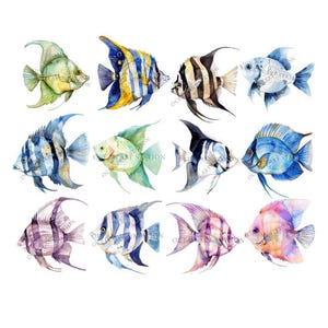 Tropical Fish Clipart, Watercolor, Colorful Fish Png, Exotic Fish Graphics, Under the Sea Clipart, Under Water, Fish Clipart Bundle image 2