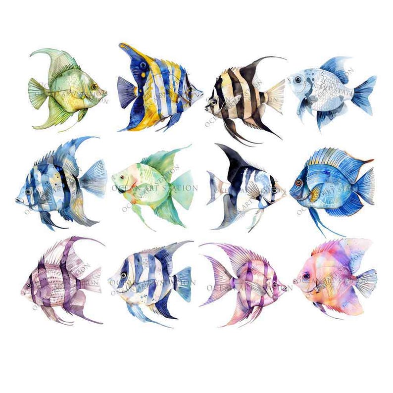 Tropical Fish Clipart, Watercolor, Colorful Fish Png, Exotic Fish Graphics, Under the Sea Clipart, Under Water, Fish Clipart Bundle image 2
