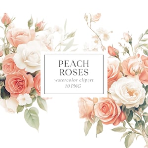 Pfirsich Blumen Clipart, Pfirsich Blumensträuße, Pfirsich Hochzeitssträuße, Pfirsich Hochzeitseinladung, kommerzielle Nutzung, Rosen Clipart Png
