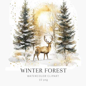 Winterbos clipart aquarel, kerstlandschap png, wintertaferelen, besneeuwd bos clipart, winterbos, vakantie clipart