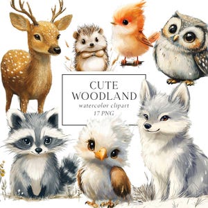 Imágenes prediseñadas de animales lindos del bosque, imágenes prediseñadas de animales bebés, imágenes prediseñadas de animales del bosque, acuarela, imágenes prediseñadas de animales lindos, ilustraciones del bosque