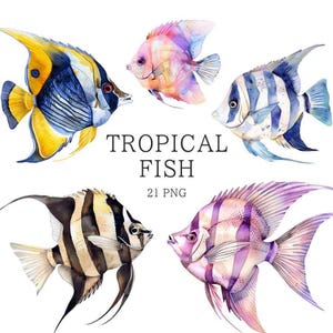 Tropical Fish Clipart, Watercolor, Colorful Fish Png, Exotic Fish Graphics, Under the Sea Clipart, Under Water, Fish Clipart Bundle image 1