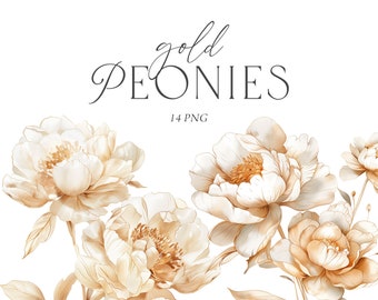 May include: Watercolor illustration of gold peonies on a white background. The image features several large, open peony blooms in shades of cream and gold, with delicate leaves and stems. Text reads "gold PEONIES 14 PNG".