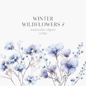 Clipart Floral de Inverno, Flores Silvestres de Inverno, Clipart de Flores Geladas, Aquarela de Flores Silvestres Azuis, Buquês de Flores, Flores Secas, Comercial