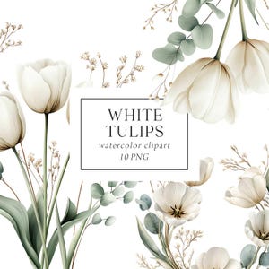 Clipart di tulipani bianchi acquerello, Clipart di fiori bianchi, Clipart di bouquet da sposa di tulipani primaverili, Clipart di tulipani png, Invito di nozze