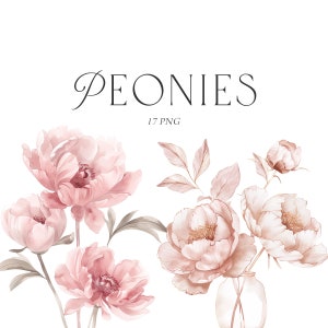 Rosa Pfingstrosen Clipart, Blush Pink Blumensträuße, Blush Pfingstrose Blumensträuße, kommerzielle Nutzung, Blush Pink Hochzeit Clipart, Pfingstrose Sticker