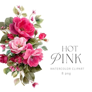 Puede incluir: Ilustración de acuarela de un ramo de rosas y capullos de color rosa intenso con hojas verdes. El texto "HOT PINK" está escrito en una elegante escritura, con "WATERCOLOR CLIPART" y "8 png" debajo.
