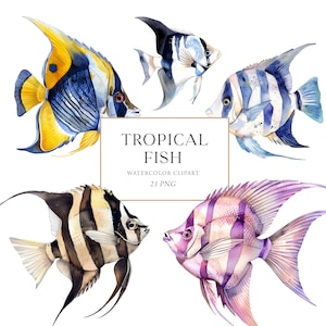 Clipart poisson tropical, aquarelle, poisson coloré Png, graphiques de poissons exotiques, sous la mer des cliparts, sous l'eau, Bundle de cliparts poisson