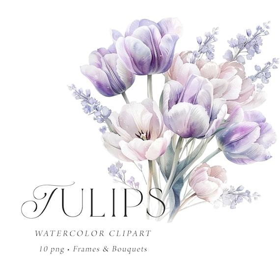 Tulips Clipart Watercolor, Tulip Clipart Png, Lilac Floral Clipart, Purple Spring Clipart, Spring Floral Clipart, Wedding Bouquets Clipart