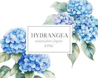May include: Watercolor clipart of blue hydrangeas with green leaves. The image includes the text "HYDRANGEA watercolor clipart 8 PNG".
