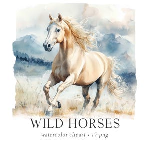 Pferde Clipart, Reiten, Aquarell, Western Clipart, Wildpferde, Rodeo Clipart, Kinderzimmer Clipart, Cowboy Cowboy Rodeo, Pferdeaufkleber