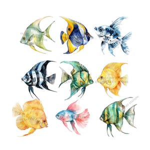 Tropical Fish Clipart, Watercolor, Colorful Fish Png, Exotic Fish Graphics, Under the Sea Clipart, Under Water, Fish Clipart Bundle image 3