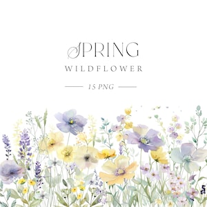 Imágenes prediseñadas de flores silvestres de primavera, flores silvestres acuarela png, imágenes prediseñadas de flores de primavera, ramos florales de primavera, flores secas, baby shower de primavera