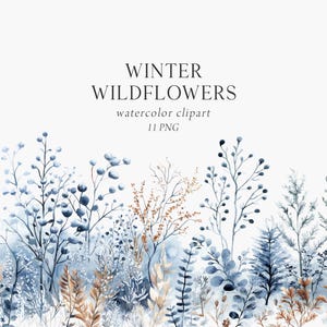 Clipart fleurs sauvages d'hiver, fleurs d'hiver, clipart fleurs sauvages givrées, aquarelle de fleurs sauvages bleues, bouquets de fleurs, fleurs séchées