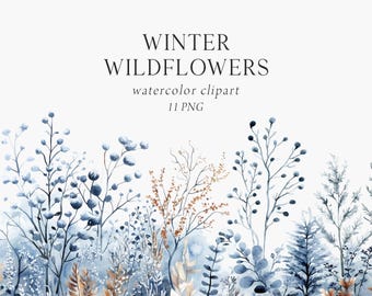 Winter Wildflower Clipart, Winter Florals, Frosty Wild Flower Clipart, Blue Wildflowers Watercolor, Floral Bouquets, Dried Flowers