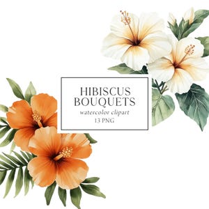 Tropical Flowers Clipart, Hibiscus Clipart, Tropical Bouquets, Summer Floral Clipart, Elegant Bouquets Clipart, Tropical Invitation Clipart