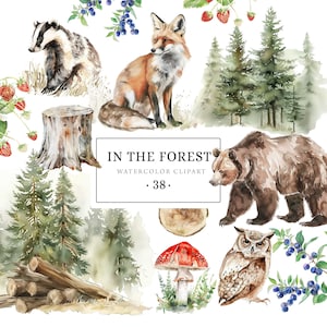 Clipart forêt, pin forêt des cliparts, clipart animaux des bois, paysage forestier, pins, invitation forêt, baby shower des bois