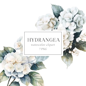 Clipart de hortensias blancas, ramos de hortensias, clipart de flores blancas, clipart de boda de hortensias, invitación de boda de hortensias, png