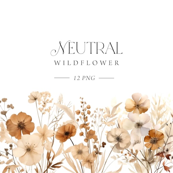 Neutral Floral Clipart, Wild Flower Clipart, Boho Wildflowers Watercolor, Floral Bouquets Commercial, Dried Flowers, Beige Brown Flowers