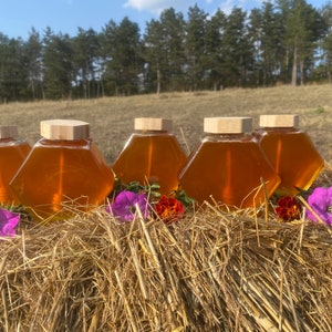 Miele d'api naturale al 100% da fiori selvatici ed erbe aromatiche in un barattolo speciale con cucchiaio di miele miele grezzo miele puro