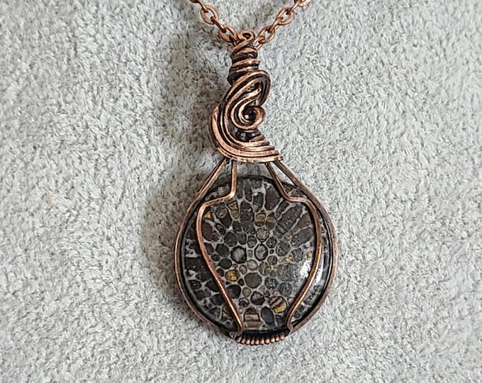 Black Fossil, necklace, pendant, gifts for her, Sterling silver necklace, root chakra, grounding, healing, releasing old, personal growth.