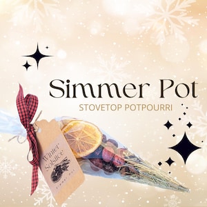 May include: A clear cellophane cone filled with stovetop potpourri, featuring dried orange slices, berries, and herbs. The cone is tied with a red and black checkered ribbon and a kraft paper tag that reads "Winter Solstice Simmer Pot".