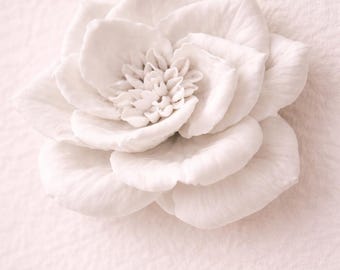 White Magnolia Sculptural Wall Flower – Minimalist Botanical Decor
