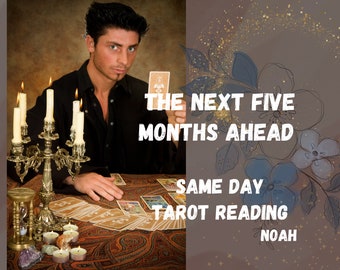 The Next Five Months Ahead Tarot Reading, One Card Per Month, Five Cards Same Day, In-Depth Tarot Reading, Psychic Reading, Love Reading