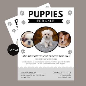 May include: A flyer advertising puppies for sale. The flyer features three photos of puppies, a black and white paw print design, and the text "Puppies for Sale".