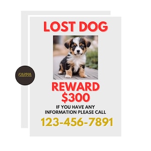 Missing Dog Flyer | Editable Loss Pet Template | Lost Pet Alert | Editable Loss Pet Sign | Digital Download | Quick Print For Pet Recovery