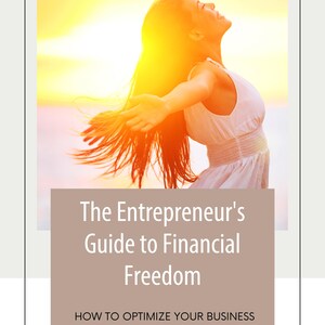 The Entrepreneur&#39;s Guide to Financial Freedom Ebook
