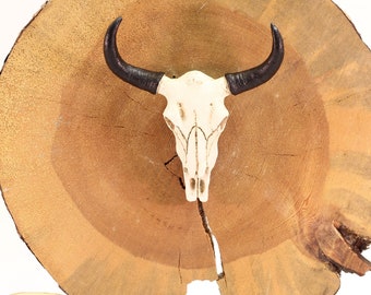 アメリカバイソンの頭蓋骨のレプリカ - 1:6 スケールサイズ。ご家庭の