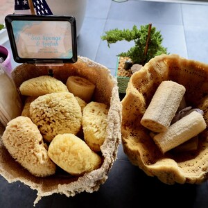 Organic Loofah | Sensorium Emporium by Mother Nature's Beauty