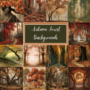 May include: A collection of twelve digital images featuring autumn forest landscapes with orange, red, and brown foliage, winding paths, stone stairs, and trees. A central dark green rectangular label displays the text Autumn Forest Backgrounds.