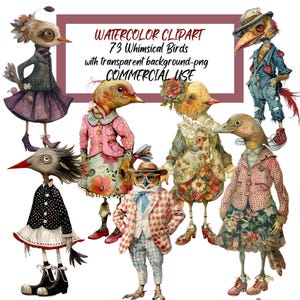 Oiseaux fantaisistes, 72 png, graphiques d'oiseaux originaux, usage commercial, journaux indésirables, kit de fournitures de scrapbooking, cliparts drôles d'oiseaux, art numérique, CU