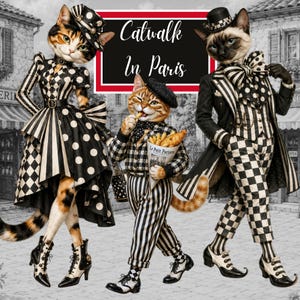 Könnte beinhalten: Eine digitale Illustration mit drei anthropomorphen Katzen in schwarz-weiß gemusterter Kleidung. Der Text Catwalk In Paris ist in einem zentralen rechteckigen Rahmen dargestellt. Die Katzen tragen Hüte, gestreifte und gepunktete Outfits sowie formelle Schuhe.