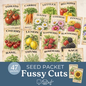 Puede incluir: Un conjunto de 47 recortes de paquetes de semillas con ilustraciones vintage de verduras, frutas y flores. Los paquetes muestran imágenes de tomates, zanahorias, margaritas, frambuesas y otras plantas, con etiquetas de texto.