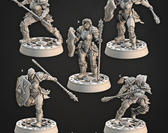 Sunrise Maidens, Paladin, Medium Mini, Shields of Dawn * Cast n Play * 3D Printed Gaming Mini