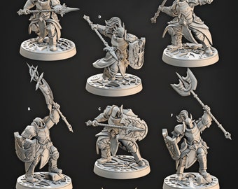 Aurora Paladins, Human, Medium Mini, Shields of Dawn * Cast n Play * 3D Printed Gaming Mini